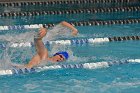 Swimming vs Bentley  Wheaton College Swimming vs Bentley. - Photo By: KEITH NORDSTROM : Wheaton, Swimming, Bentley